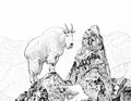 Mountain Goat Single Coloring Page Instant Digital Download