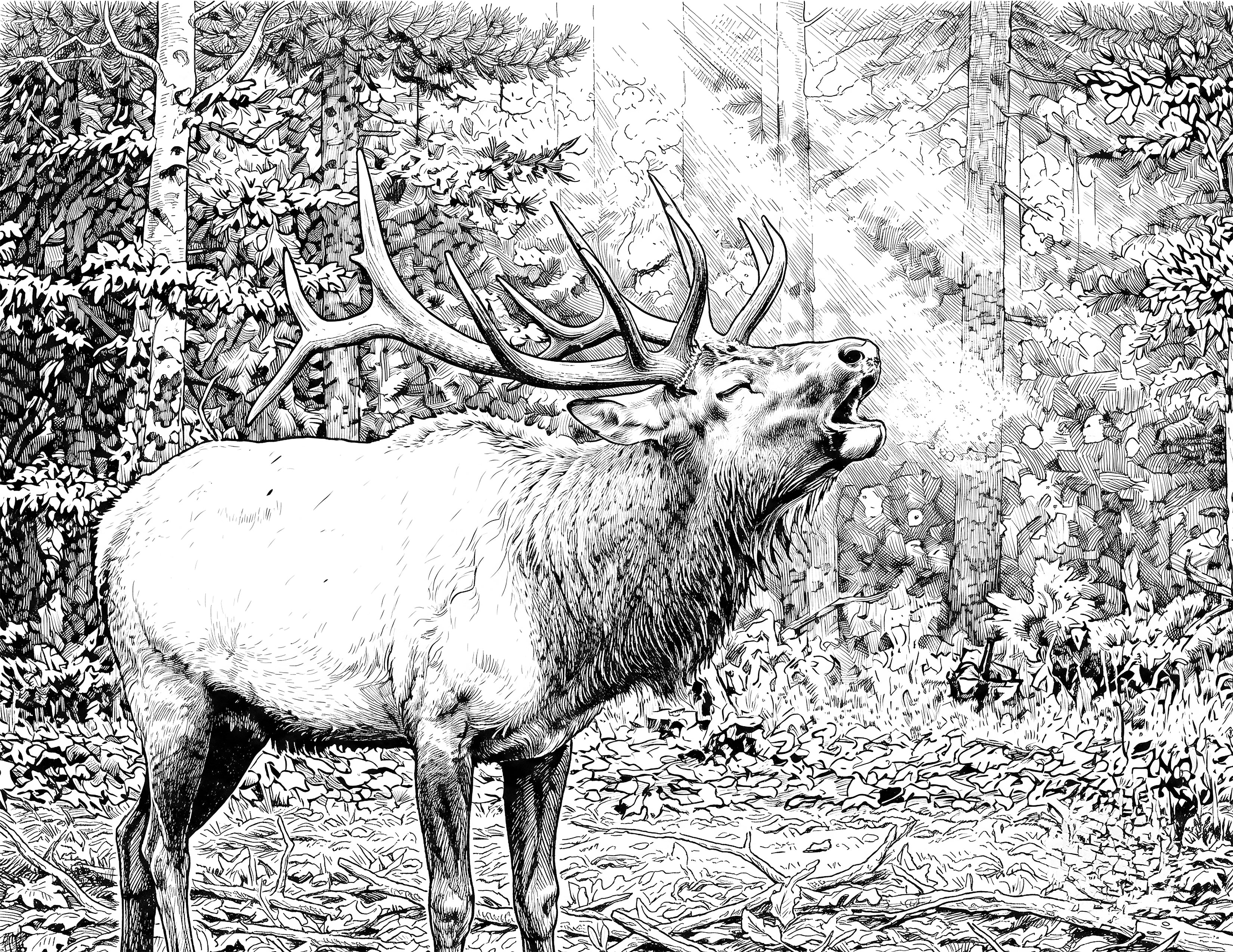Bull Elk Single Coloring Page Instant Digital Download
