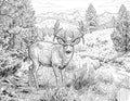 Whitetail Deer Single Coloring Page Instant Digital Download