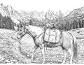 Mule Deer Packout Single Coloring Page Instant Digital Download
