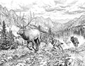 Wolves & Bull Elk Single Coloring Page Instant Digital Download