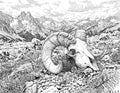 Sheep Deadhead Single Coloring Page Instant Digital Download