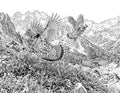 Ruffed Grouse Single Coloring Page Instant Digital Download