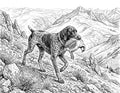 Hunting Dog & Chukar Single Coloring Page Instant Digital Download