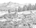Coyote & Deer Fawn Single Coloring Page Instant Digital Download