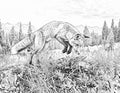 Fox Single Coloring Page Instant Digital Download