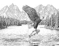 Eagle Fishing Single Coloring Page Instant Digital Download