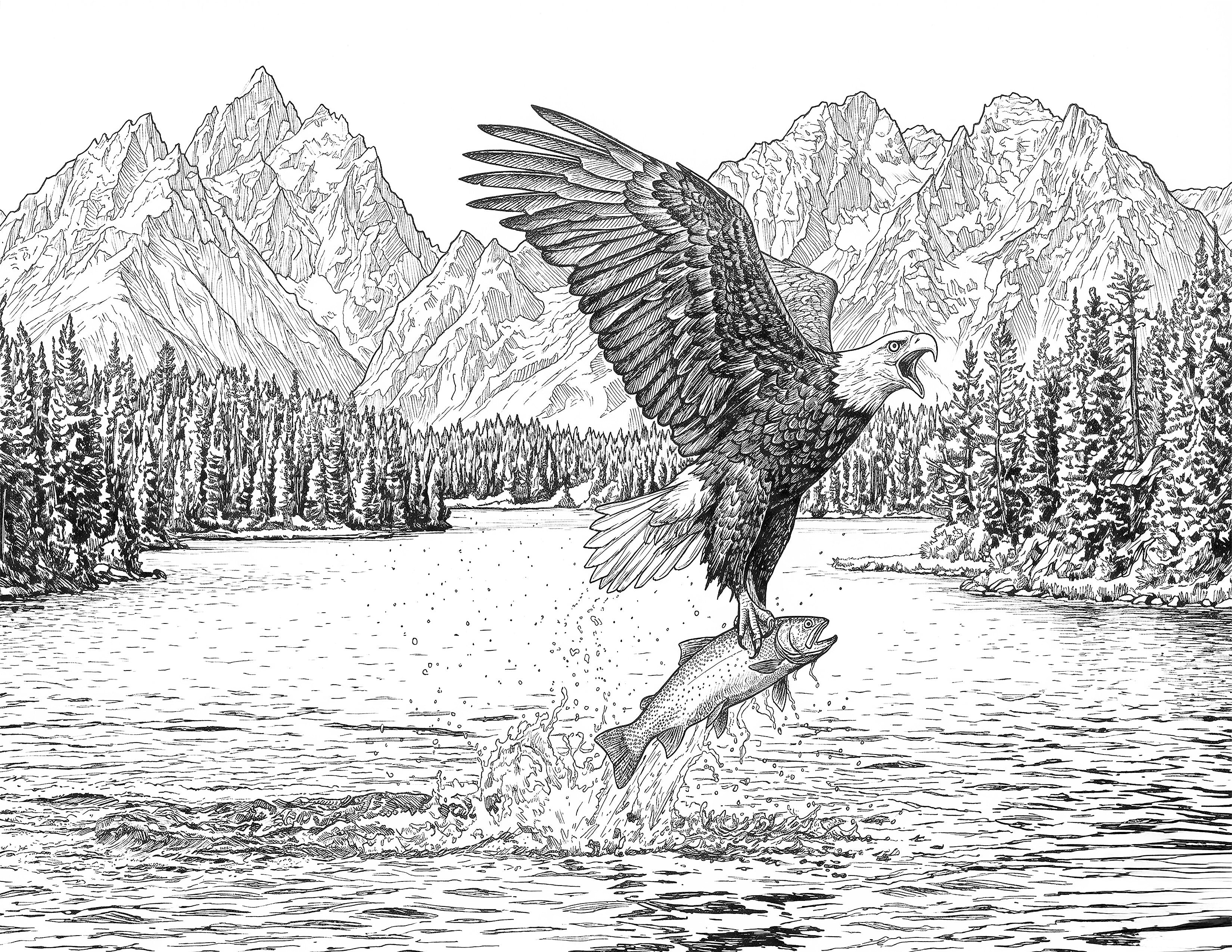 Eagle Fishing Single Coloring Page Instant Digital Download