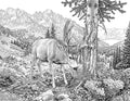 Mule Deer Single Coloring Page Instant Digital Download
