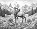 Bull Elk Single Coloring Page Instant Digital Download