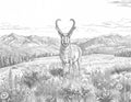 Pronghorn Antelope Single Coloring Page Instant Digital Download
