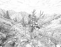 Mule Deer Hunting Single Coloring Page Instant Digital Download