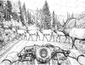 Elk Single Coloring Page Instant Digital Download