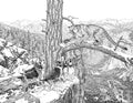 Mountain Lion & Hounds Single Coloring Page Instant Digital Download