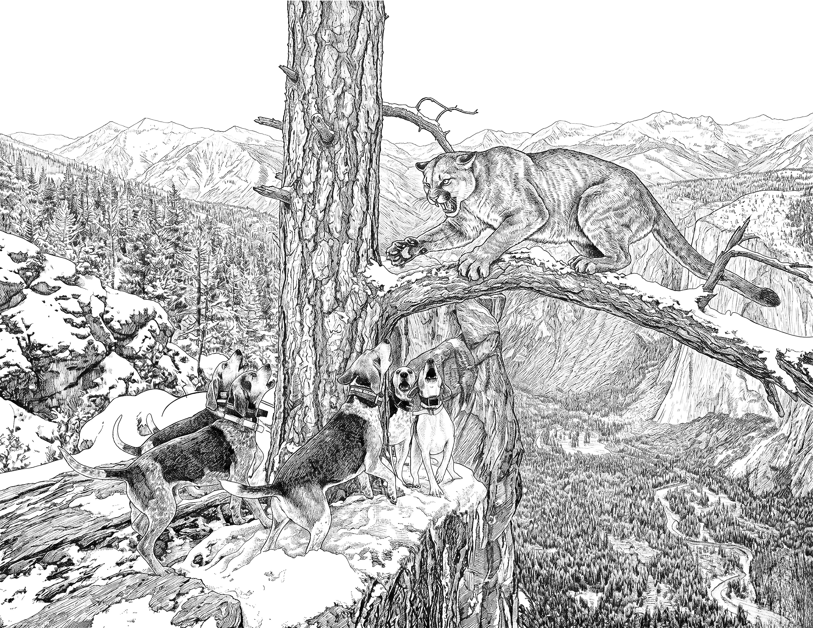 Mountain Lion & Hounds Single Coloring Page Instant Digital Download