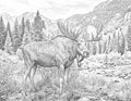 Bull Moose Single Coloring Page Instant Digital Download