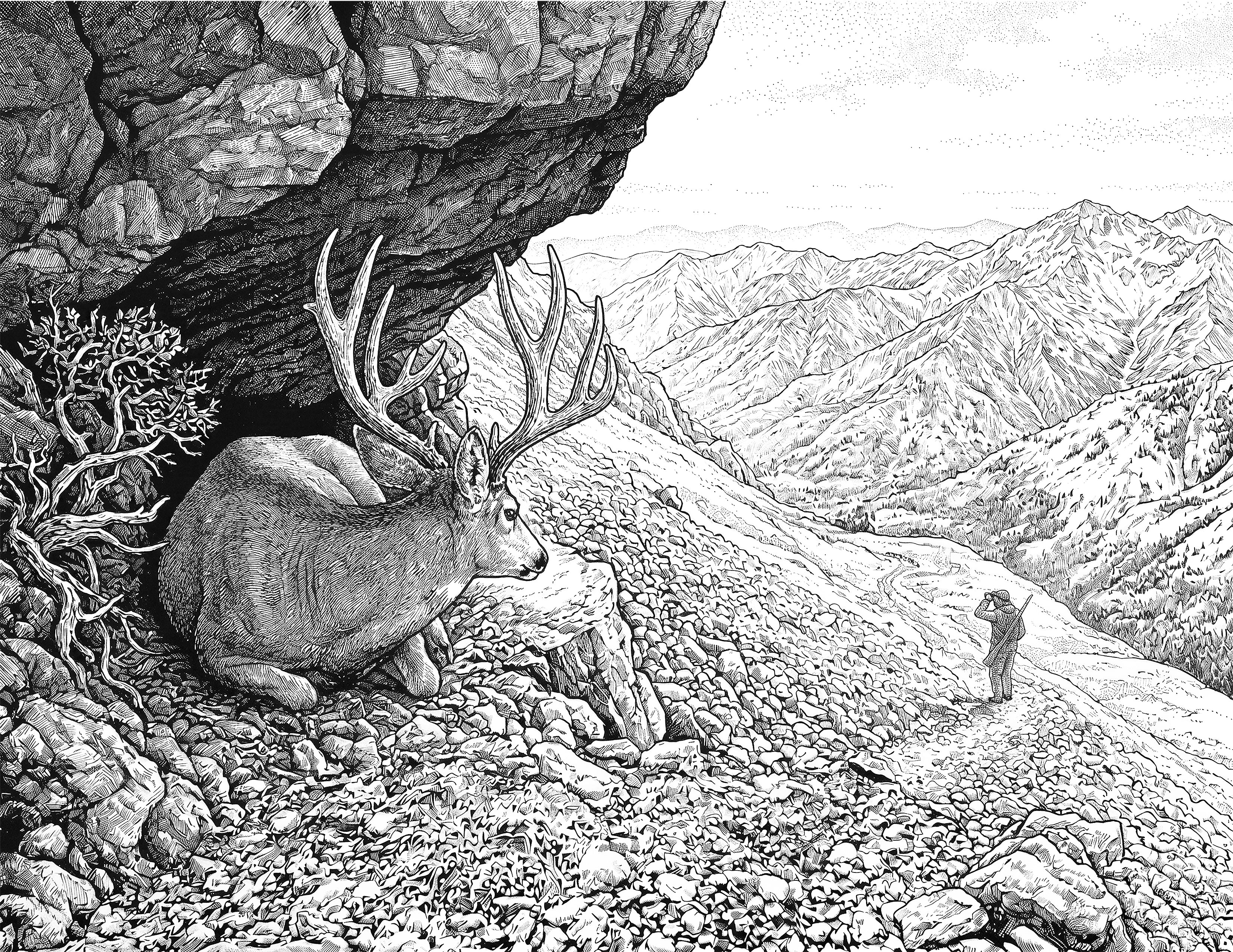 Mule Deer Hunting Single Coloring Page Instant Digital Download