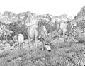 Mule Deer Single Coloring Page Instant Digital Download
