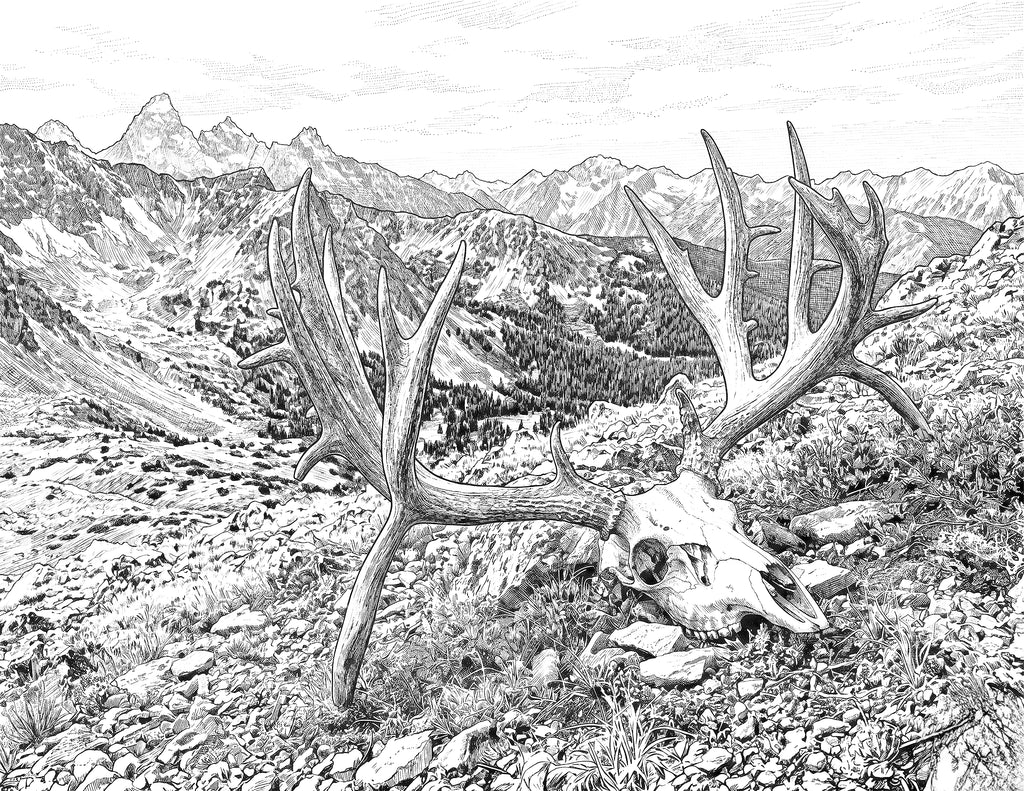 High Country Pursuit Coloring Book: Instant Digital Download
