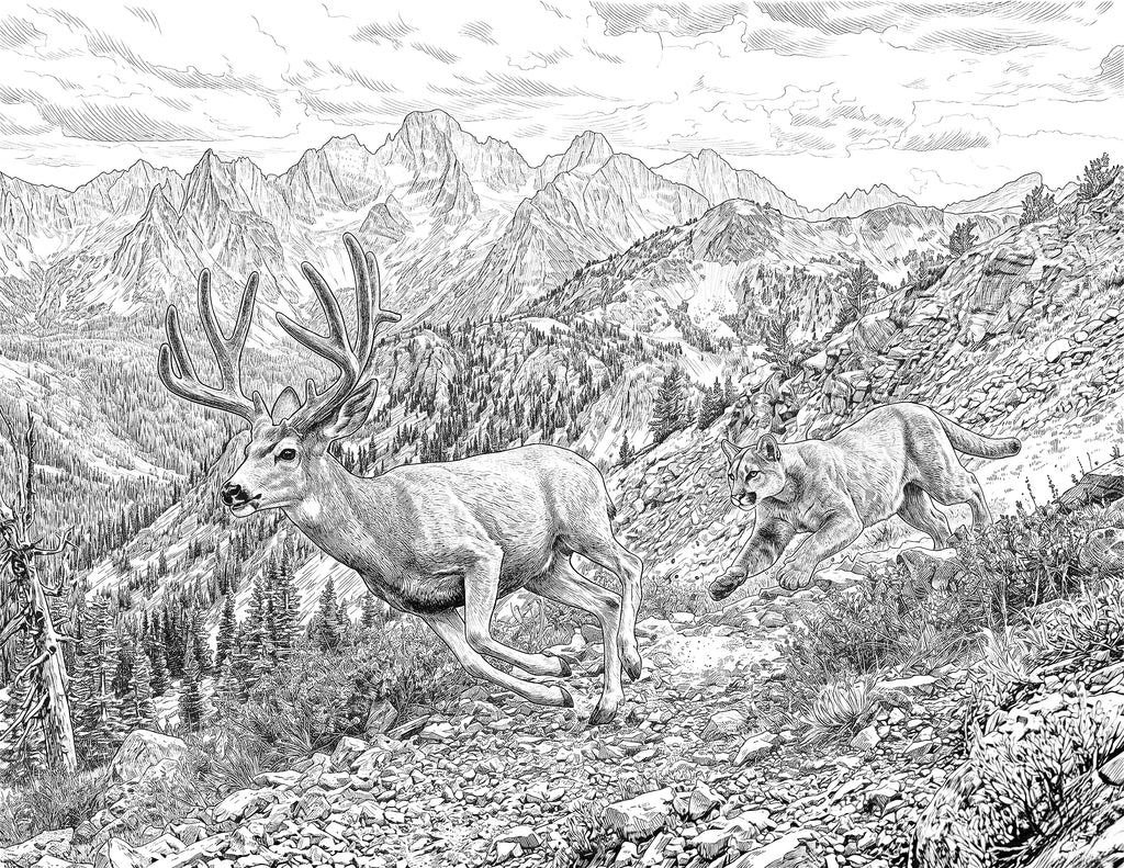 High Country Pursuit Coloring Book: Instant Digital Download